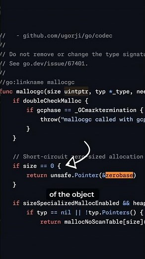 Under the Hood: How Go Handles Empty Structs #go #programming #coding #softwaredevelopment