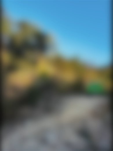 Exploring Off-Road Trails in Forest Park