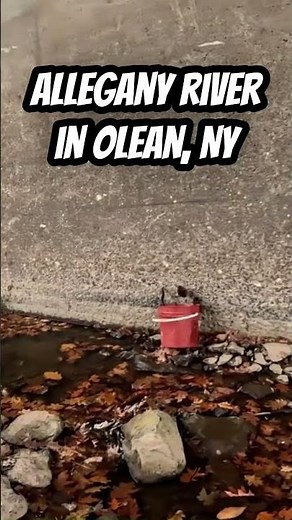 SHOW ME THE METAL! Allegany River Magnet Fishing Adventure in Olean, NY #newyorkstate #magnetfishing