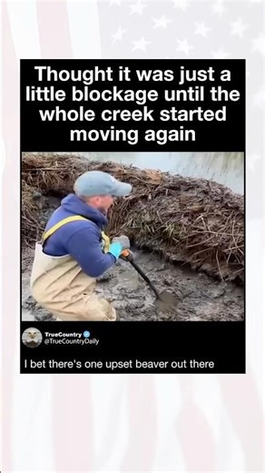 This guy definitely made some beavers angry the way he moved that build up