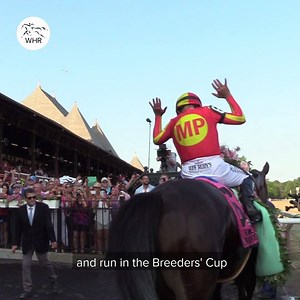 McKinzie secured a berth in the Breeders' Cup World Championships Classic with a dominant performance in the Whitney Stakes at Saratoga on Saturday. Can he atone for last year? 🤞 | World Horse Racing