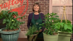 Vegetable Gardening: Innovative Small-Space Solutions