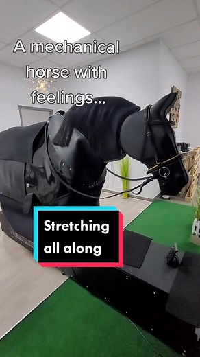Understanding the Mechanical Horse: Emotions and Equine Simulation