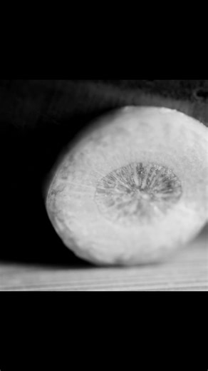 Detailed Closeup Soundrecording Foley