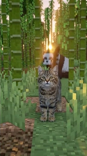 Minecraft Bamboo Cat 🌿🐼
