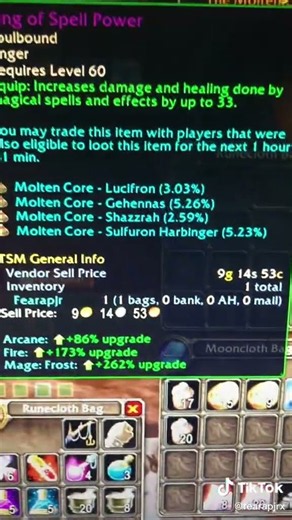I Spent ALL My DKP in WoW Classic 🔥