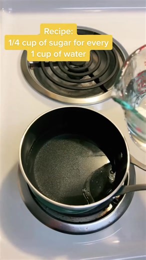 2.8K views · 45 reactions | Hummingbird food recipe! ☀️ #Hummingbirdlove #hummingbird #reel #animals #videobird #viral #bird #nature #animais | Hummingbird Love | Facebook