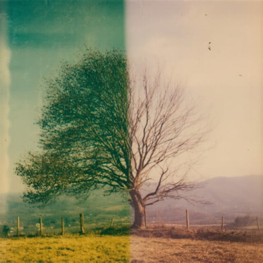 Jonas Conner - Colder Lyrics