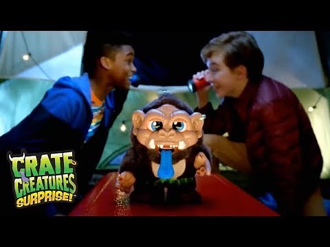Crate Creatures Surprise | Big Blowout! | :30 Commercial