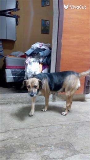 23 de febrero de 2026