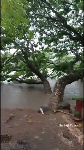 #FijiTimesNews As of 9.00am today, the Labasa River has risen to 2.6 metres after continuous rainfall, with authorities closely monitoring conditions. More rain is expected, and the river may burst its banks if downpours persist. Residents in low-lying areas are urged to stay alert, with emergency teams on standby amid unstable weather. #Fiji #FijiNews 🎥 NACANIELI TUILEVUKA | The Fiji Times