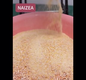 NAIZEA Grain Mills Wet Dry Cereals Grinder, Electric Corn Grain Mill Grinders, Heavy Duty 3000W 110V Commercial Grain Machine, Wheat Feed Flour Mill with Funnel (Dry & Wet Grinder)