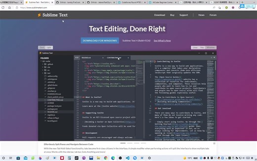 sublime text 4 刷题一键配置FastOlympicCoding FiraCode gcc-11.2.0(c++20)