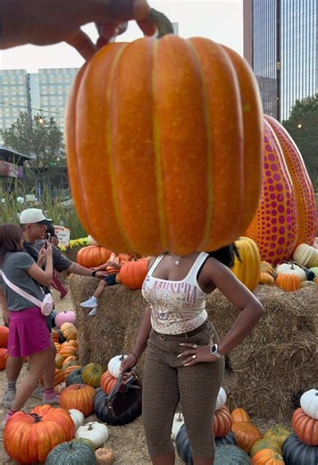 Pumpkin Patch Date Ideas for Fall: Cute Couple Date Tips
