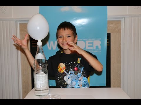 WONDER The MOVIE Science Experiment with Teddy | eOneFilms