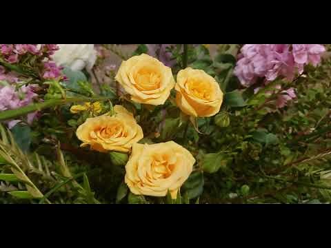 Flower Design Tutorial - From Michael Gaffney's Home in LA