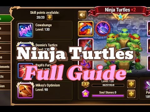 Best Ninja Turtle Guide, I Have The Hero Unlocked. Hero Wars Dominion Era