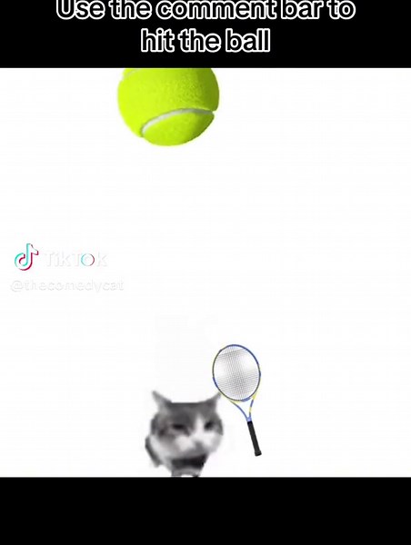 Play tennis with me #animals #cat #tennis #game | how to get tennis racket on phone