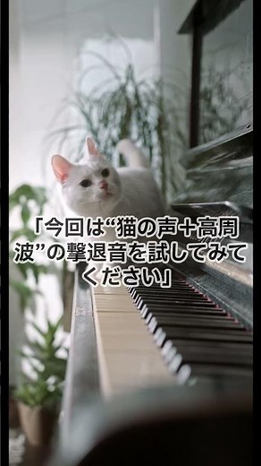 【検証】ネズミは音だけじゃ逃げない！？猫の声×高周波で対策｜30秒体験Short