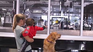 37K views | Experience Pit Stop Service With The Crown Automotive Group | Crown Cars | Facebook