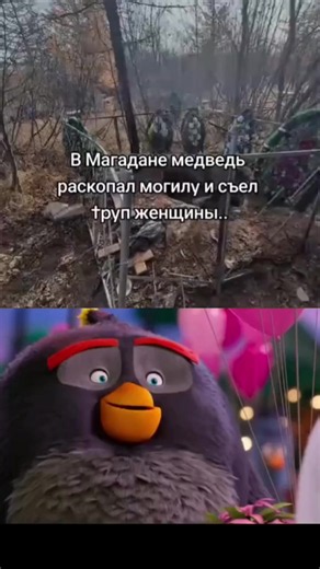 @жир 200 ✅ идея, автор не насмехается над гибелью людей, не воспринимайте видео всерьез #angrybirds #рекомендации