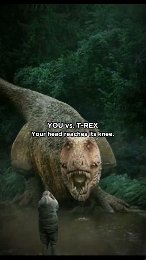 YOU vs. Dinosaurs: Real size of prehistoric animals