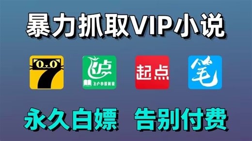 【2026最新】一分钟永久白嫖全网VIP付费小说（附源码）不限渠道、无需安装，一键下载到本地，轻松实现小说自由！