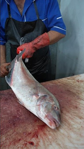 Easy Fish Cutting Techniques for Home Cooks