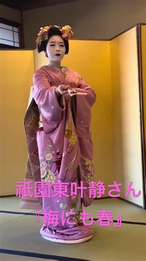 Gion Higashi Kana Shizuka's "Spring Even in the Plum Blossoms" ♾️ Forever #kyotoculture #maiko #Gion
