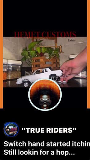 True Riders, A Facebook page dedicated to model car hoppers 1/24 scale lowriders for more info find