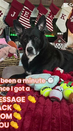 P.O.V Me when my friends don't taxt me back🤣👻📱🎀