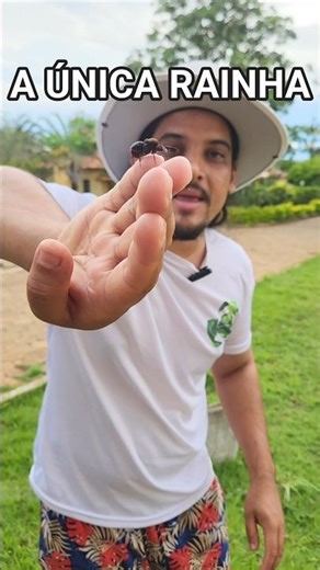TANAJURA: SEM ESSE ANIMAL O PLANETA ENTRARIA EM COLAPSO!