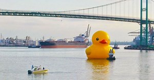Giant rubber duck floats into Western Washington