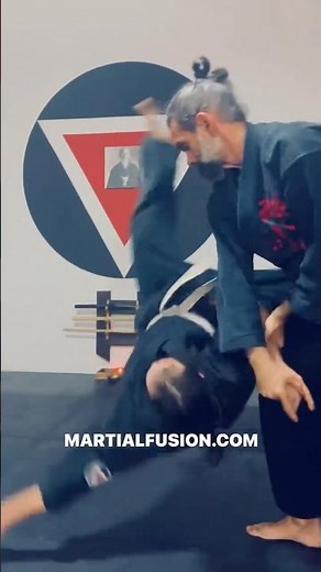 Aikido Martial Fusion Henkawaza 3 Techniques
