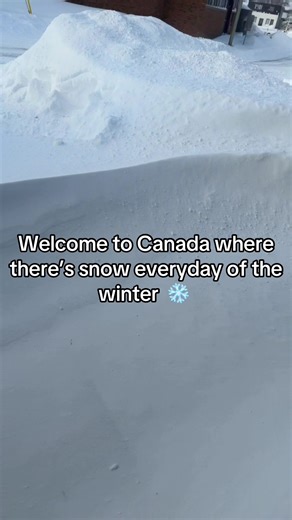 Three days in a row of snow days #snow #days #winter