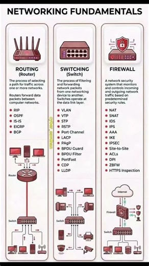 Networking Fundamentals!!✨✨