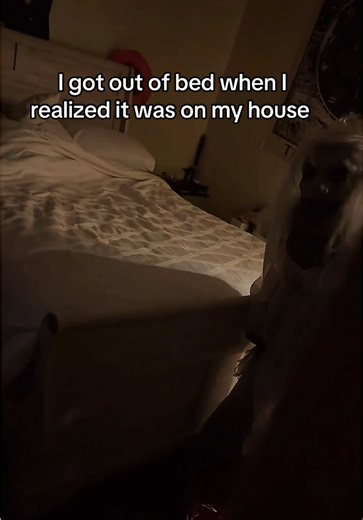 #it #creepy #scary #fyf #scaryvideos | scary videos