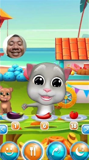 Virtual Pet Bob funny Cat gameplay walkthrough #shorts #virtualpetbob