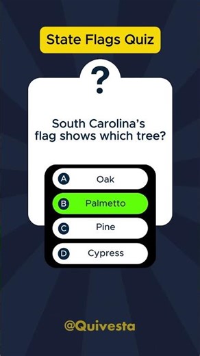 Can You Guess South Carolina State Flag Quiz? | USA 50 States Quiz #shorts