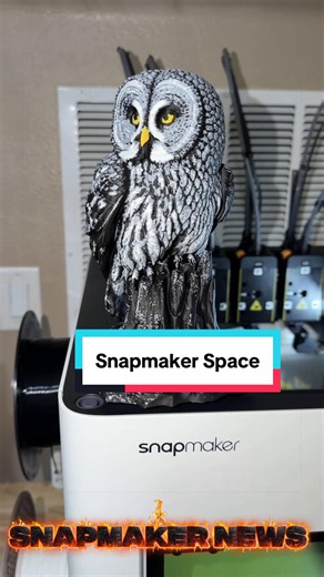 Snapmaker is building its own online home for 3D printing models — Snapmaker Space. It’s currently in closed beta and already has 1,000 multi-color and multi-material models, complete with U1-tuned profiles and one-click printing. #3DPrinting #3d #snapmaker #snapmakeru1 #owls @Snapmaker Inc.