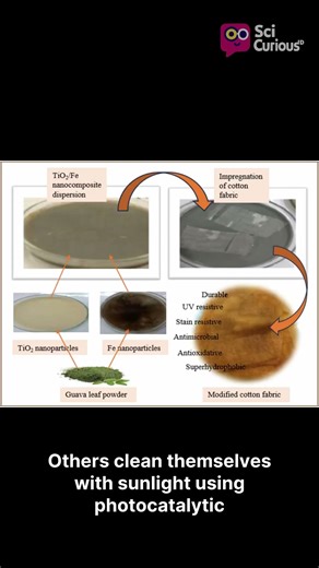 The Fabric That Cleans Itself? The Nanotech Behind It