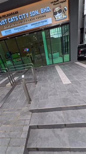 2.1K views · 119 reactions | 今天给大家抓猫✨ #cat #catlover #猫咪 #cats #猫咪日常 #catlife #猫咪找新家 #paw #justcatcity | Just Cat City | Facebook