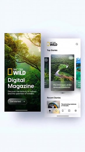 Speed UI design for NAT GEO WILD Digital Magazine app . . . . . . #uidesign #uxdesign #app #dailyuix #uidesigner #uxdesigner #uiuxdailydesign #userinterface #userexperience #productdesign #dailyuix #squirrelchallenge #appbrainy #uiuxmobile #bestofuiuxdesign #uibucket #uxuistack #designoftheday #products #coffee #designinspiration #uiwiz #dopely #graphicdesign #designtips #webdesigner #ultimateuiux #figma