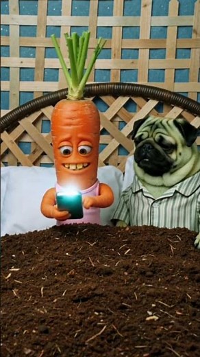 CARROT-TOT & PUG-CUMBER: PHONE THEFT MELTDOWN 🥕📱