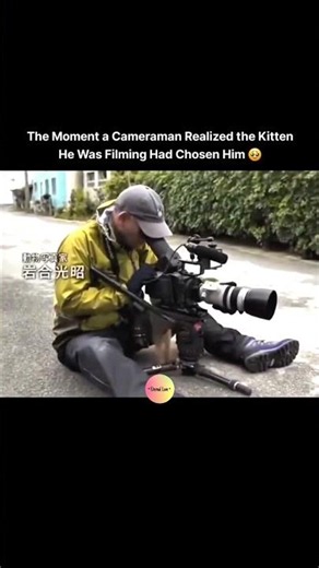 The Moment a Cameraman Realized the KittenHe Was Filming Had Chosen Him 😍