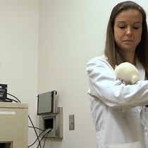 Studying Temporal Processing in Neurocognitiv - JoVE Journal