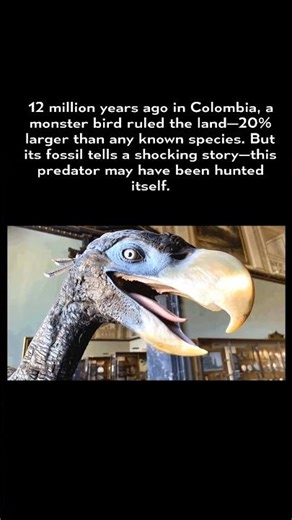 12‑Million‑Year‑Old Giant Terror Bird Found in Colombia | Prehistoric Predator Unearthed