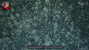 “To invest in… deep-sea mining is believing that there will be no major technological change in battery chemistry for the next 25 years, and that’s simply not credible.” Deep-sea mining is an extremely risky investment – hear more on why from investor and explorer Victor Vescovo 🎬 | Environmental Justice Foundation