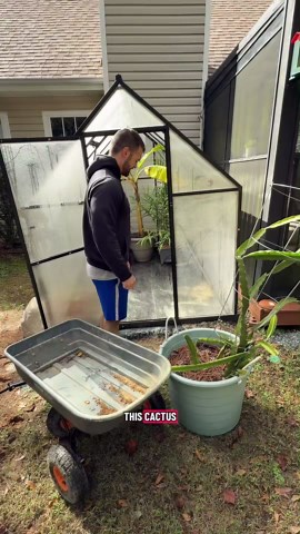 Simple tricks for relocating heavy plant pots