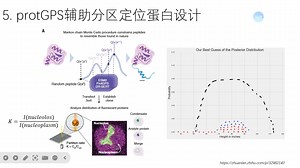 蛋白序列提升蛋白亚细胞定位